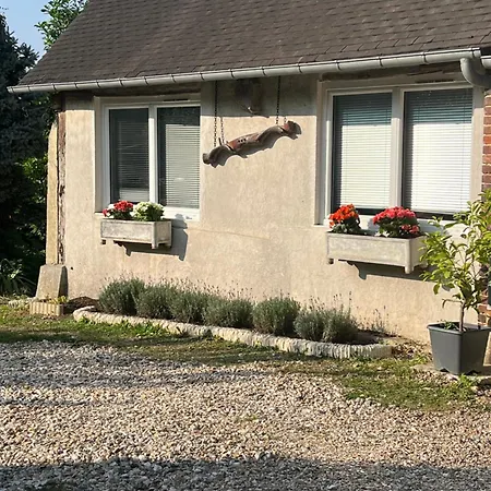 Les Jardins D'eva Et Gotham